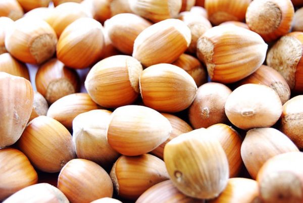 Hazelnut-Milk-600x401-1