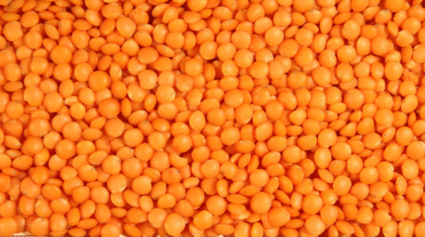 LENTILS-600x335-1