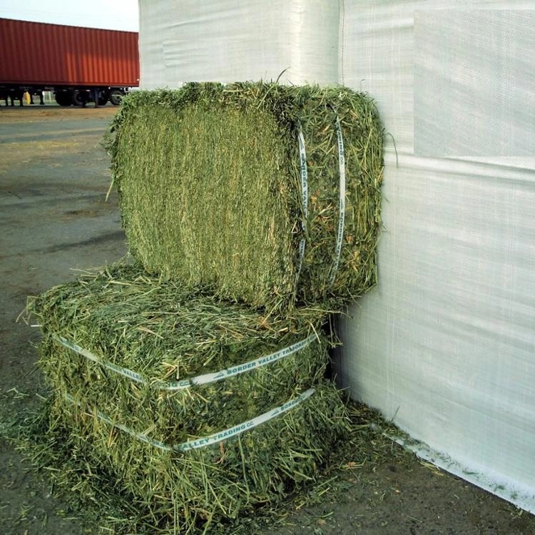 PHOTO-2021-02-18-01-07-33