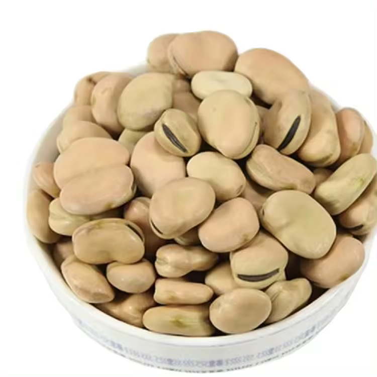 A32942787ae9a41abb7dac0749a99404fa