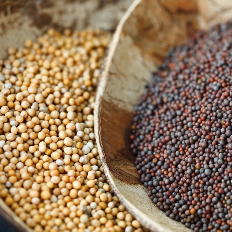 Mustard-seeds