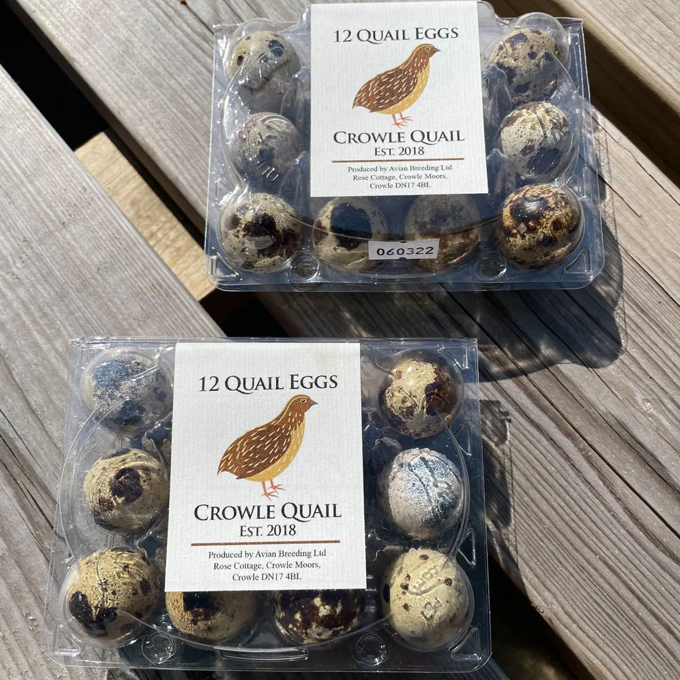 crowle-quail-eggs-quail-eggs-16-dozen-wholesale-quail-eggs-wholesale-37289094349054