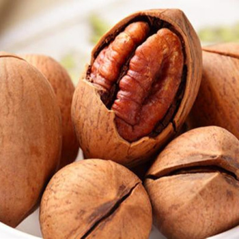 pecan-nuts